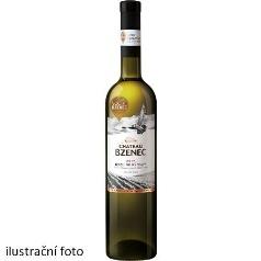 vinarstvi-pavlov-chardonnay-2023